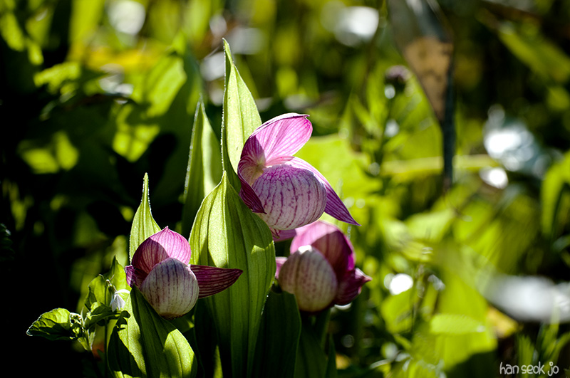 DSC_6789.jpg