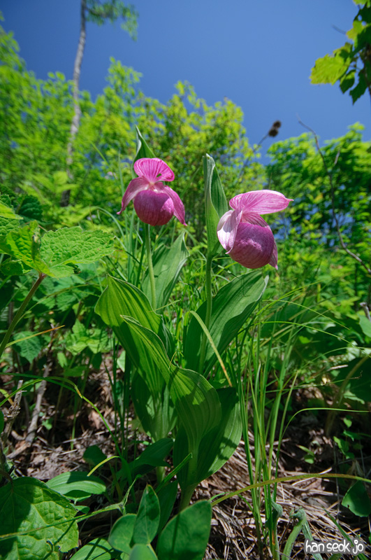 DSC_6845.jpg