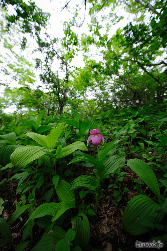HSJ_0095.jpg