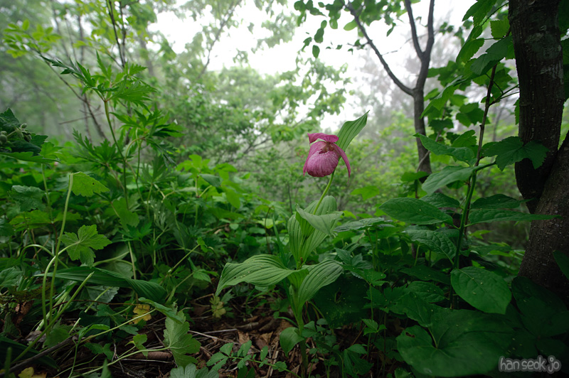 HSJ_8938.jpg