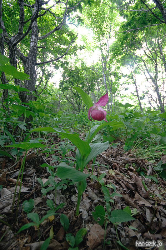 DSC_6950.jpg