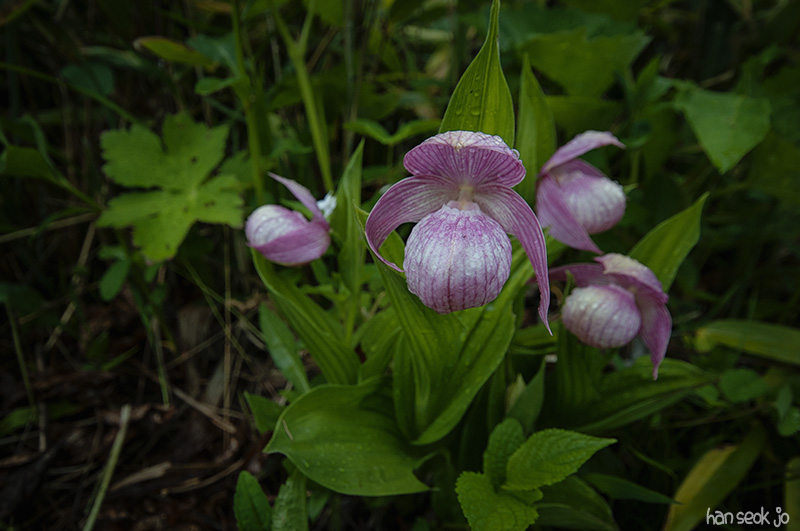 DSC_6905.jpg
