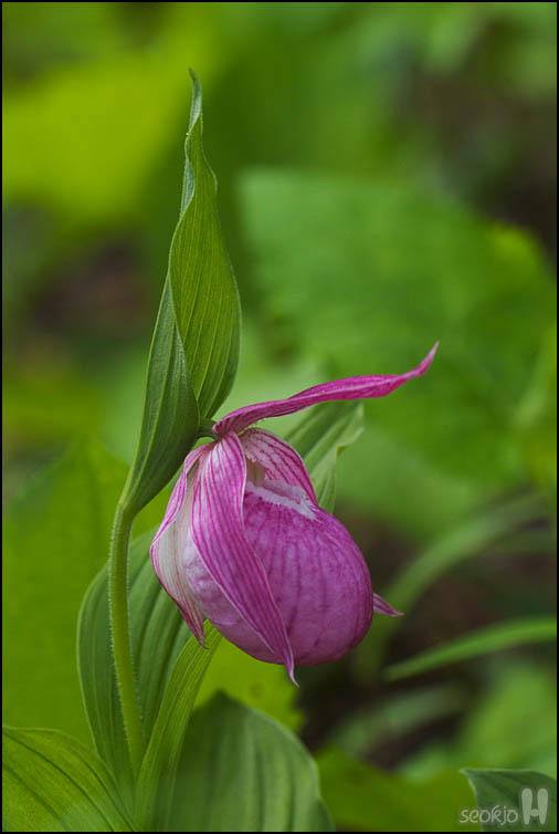 DSCF1170.jpg