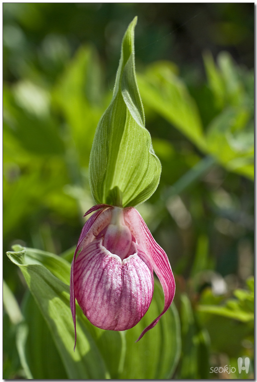 DSCF8594.jpg