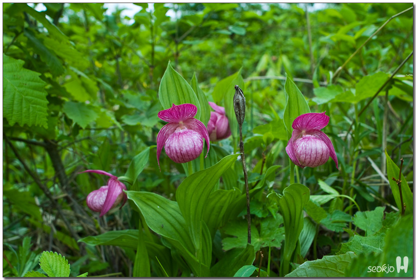 DSCF8669.jpg