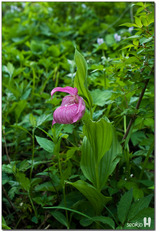 DSCF8693.jpg