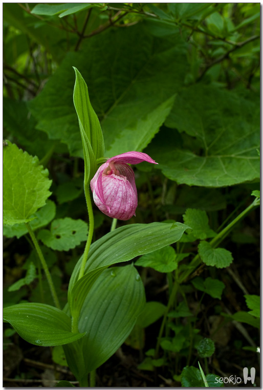 DSCF8694.jpg