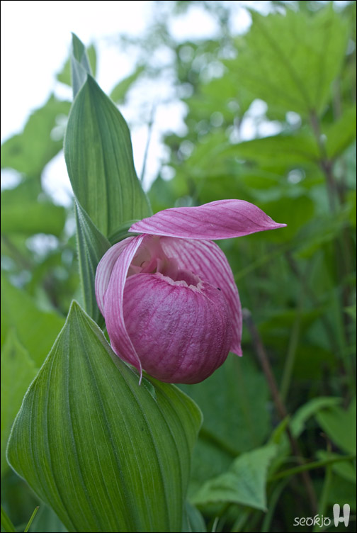 DSCF8698.jpg