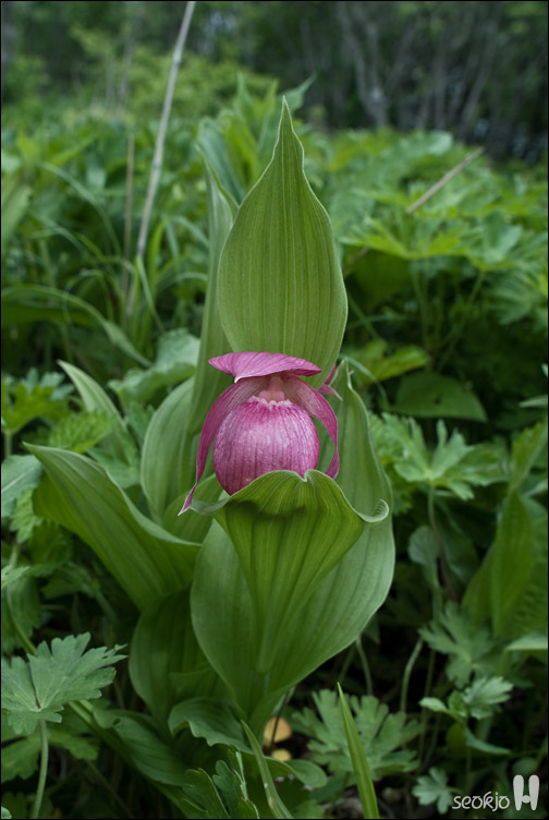 DSCF8705.jpg