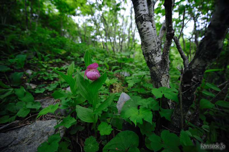 HSJ_0088.jpg