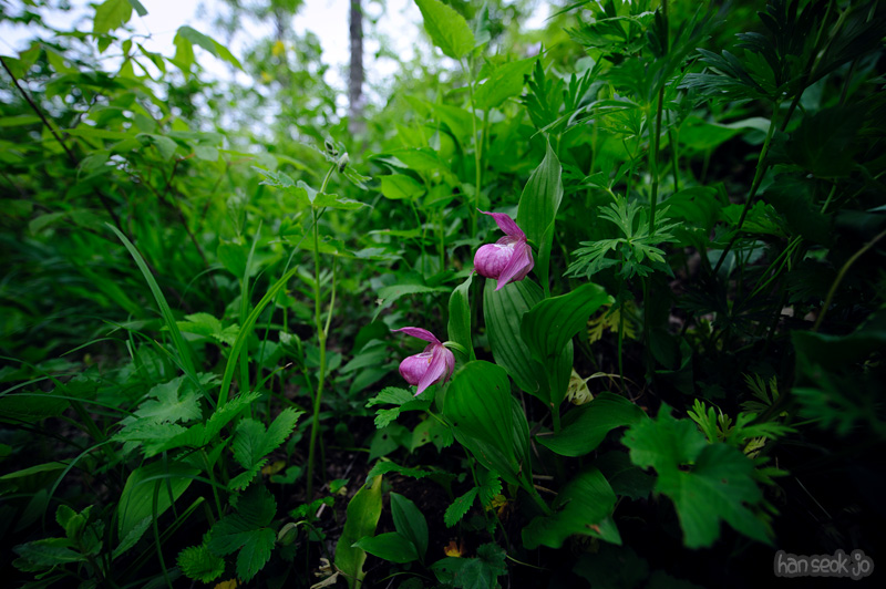 HSJ_0106.jpg