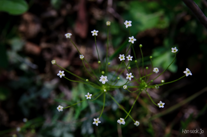 DSC_1178.jpg