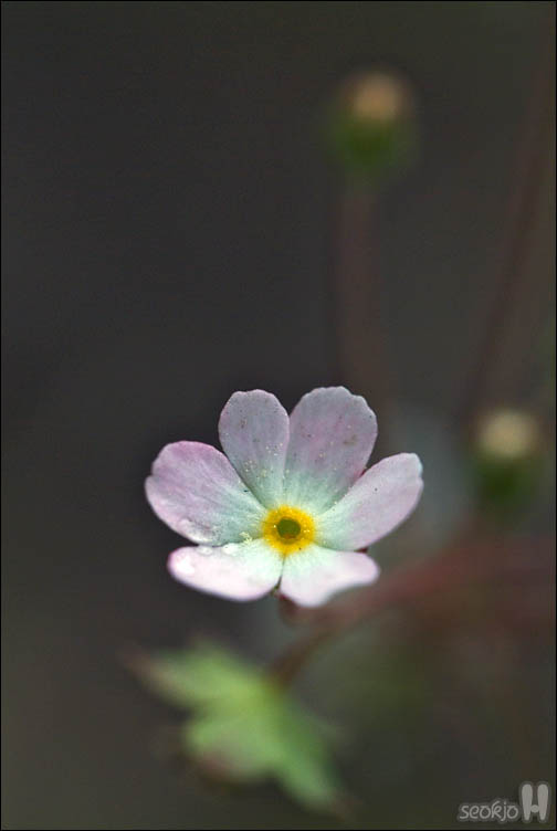 DSCF0634.jpg