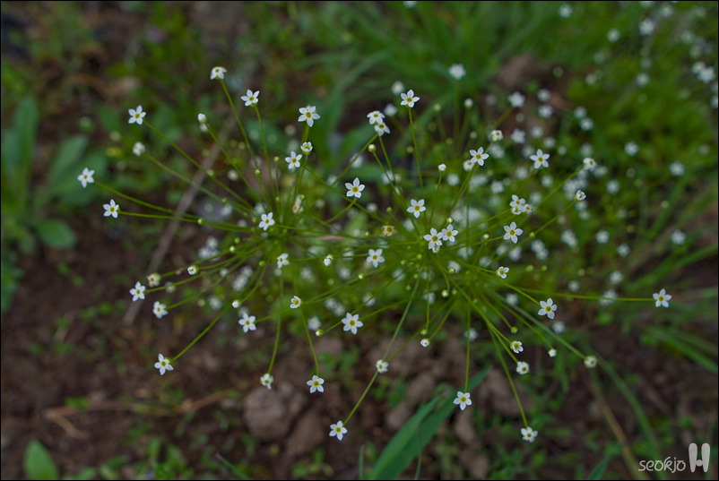 DSCF7889.jpg