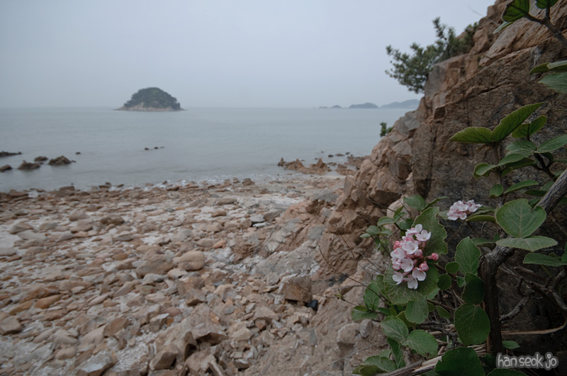 DSC_5839.jpg