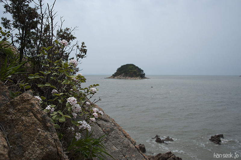 HSJ_4271.jpg