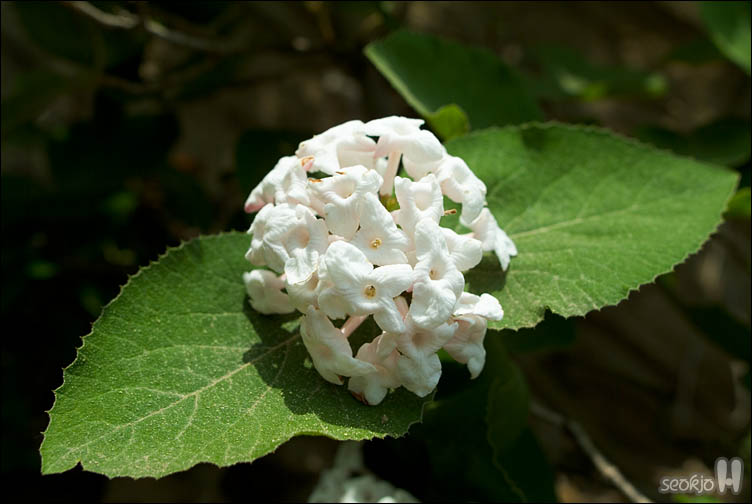 DSCF7934.jpg