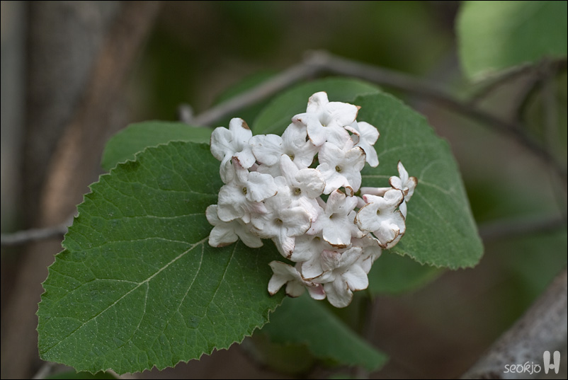 DSCF7972.jpg