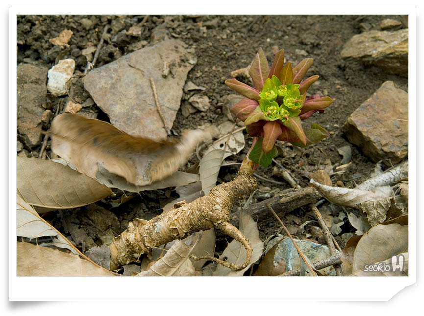 DSCF2618.jpg
