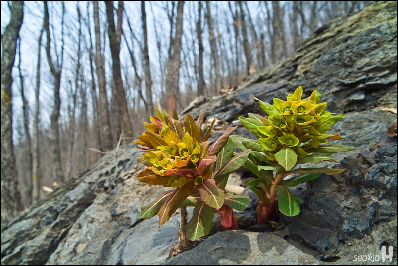 DSCF7095.jpg