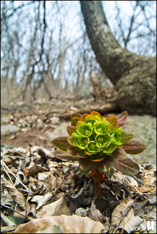 DSCF7107.jpg