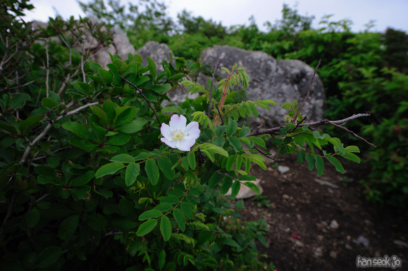 HSJ_0333.jpg