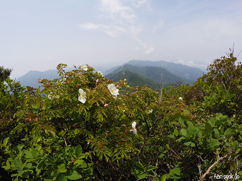 GOPR0283.jpg