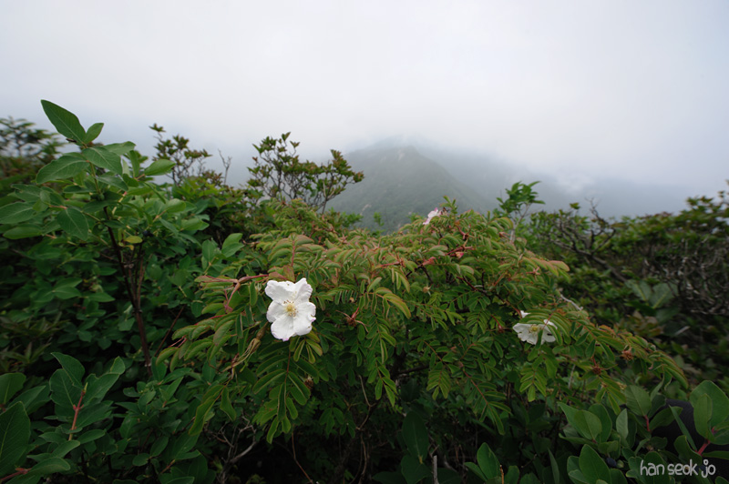 HSJ_2310.jpg