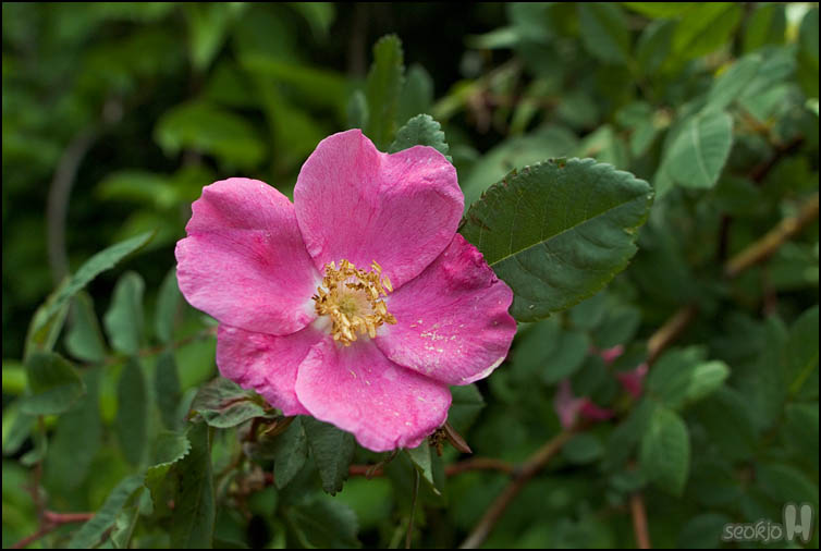 DSCF1886.jpg