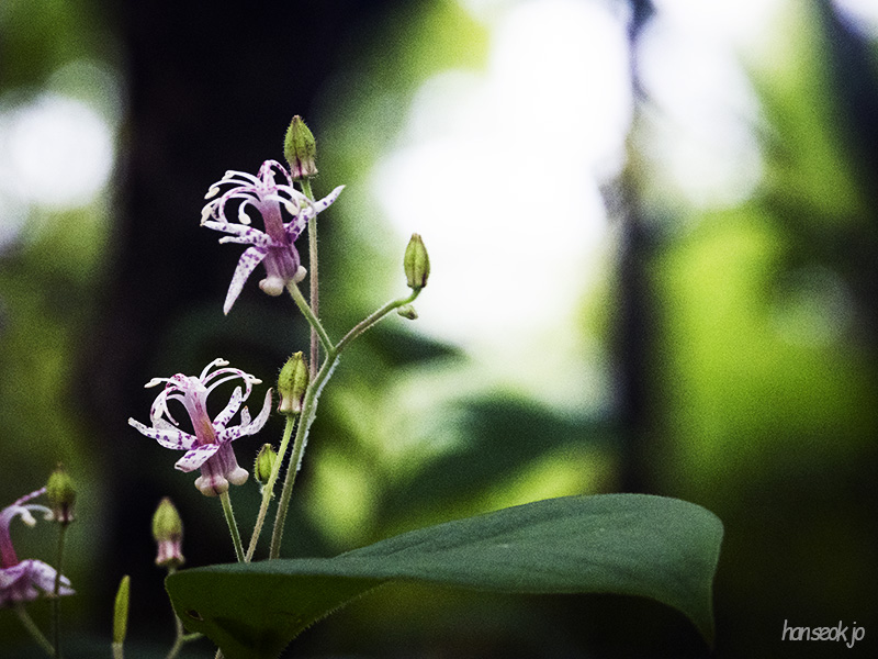 DSCN0300.jpg