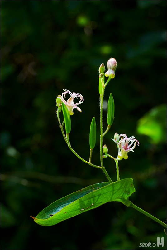 DSCF4906.jpg