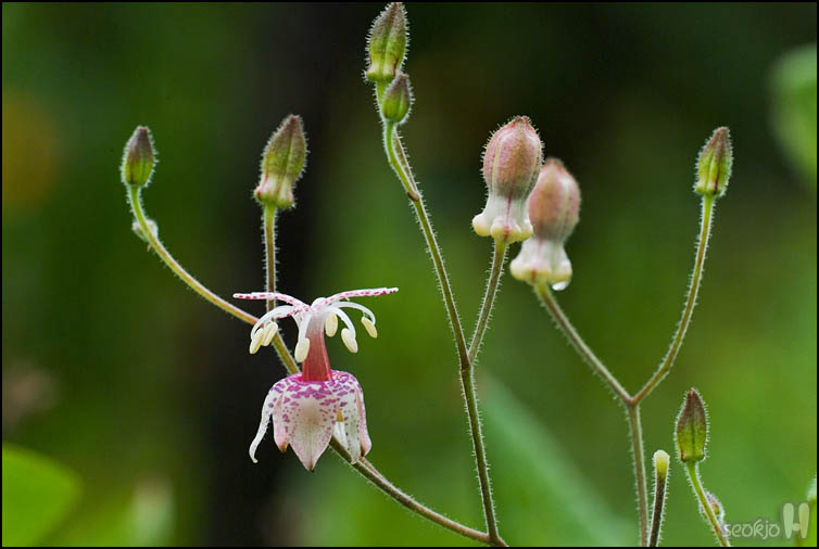 DSCF2369.jpg