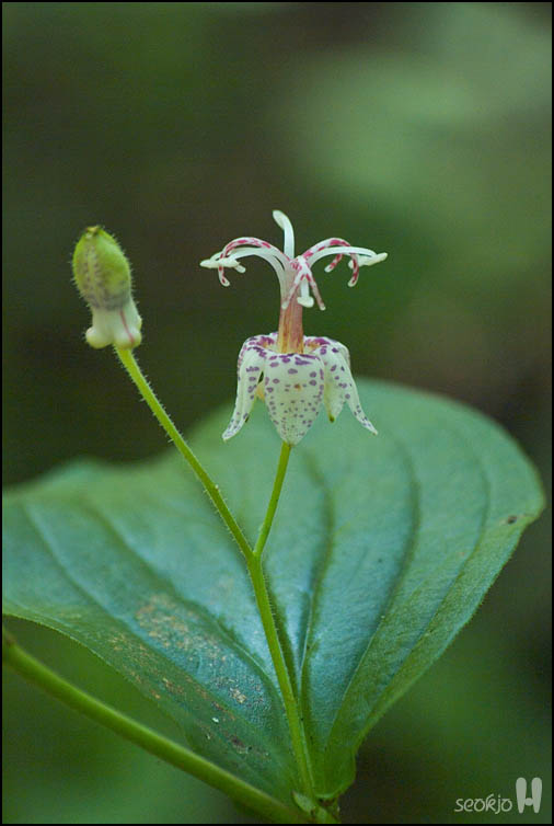 DSCF8497.jpg