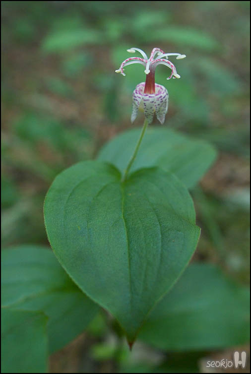 DSCF8517.jpg