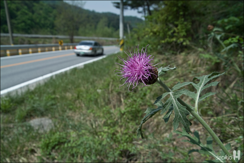 DSCF8131.jpg