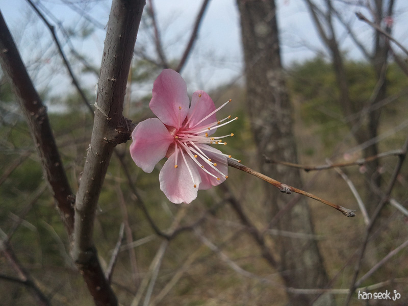 2011-05-01b.jpg