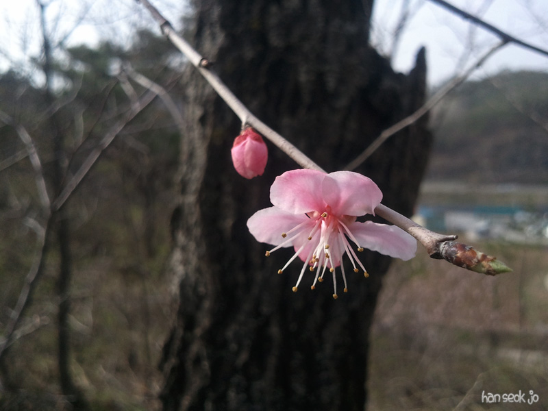 2011-05-01c.jpg