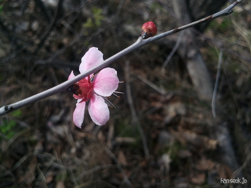 2011-05-01.jpg
