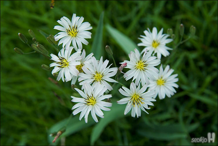 DSCF9795.jpg