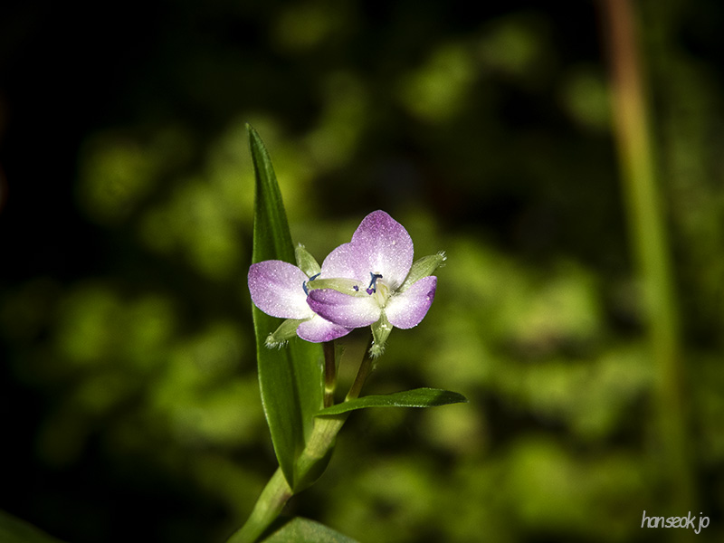 DSCN1281.jpg