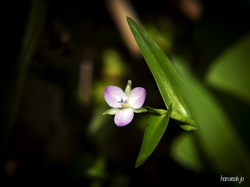 DSCN1276.jpg