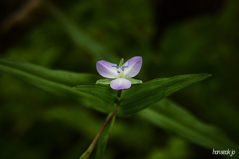 DSC_4587.jpg