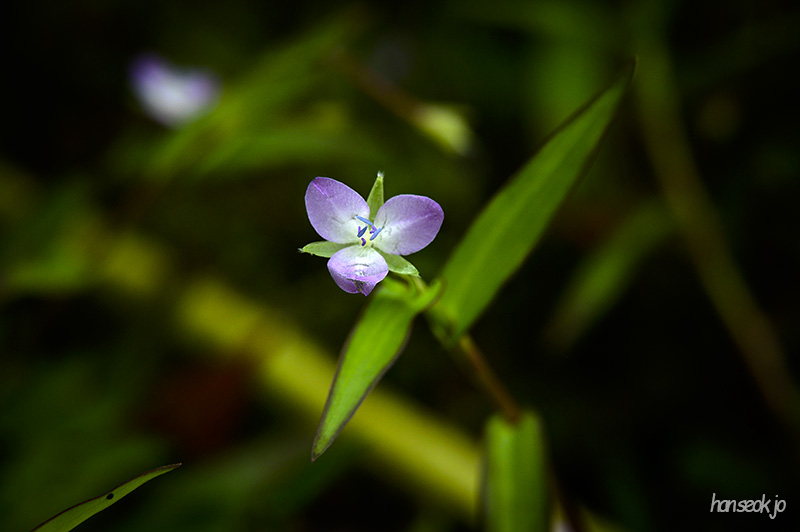 DSC_4583.jpg