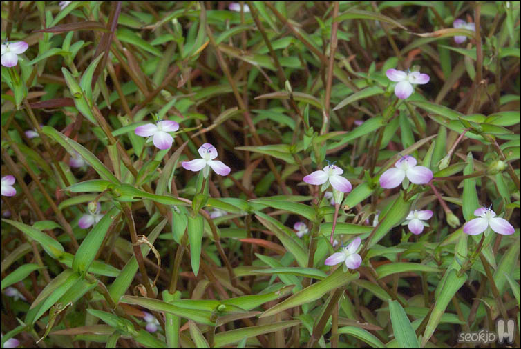 DSCF2053.jpg
