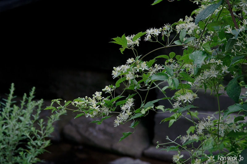 DSC_3469.jpg