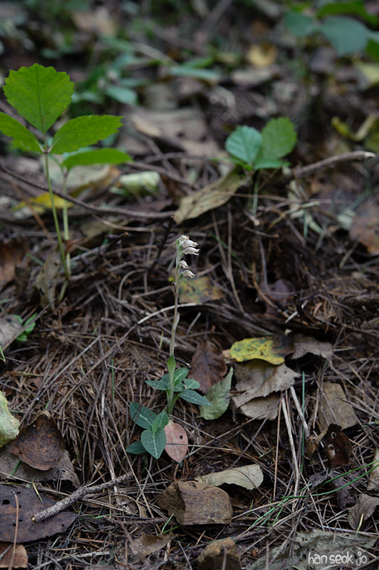HSJ_0167.jpg