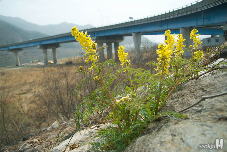 DSCF7014.jpg