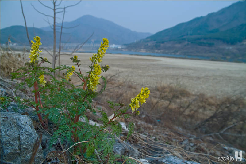 DSCF7462.jpg