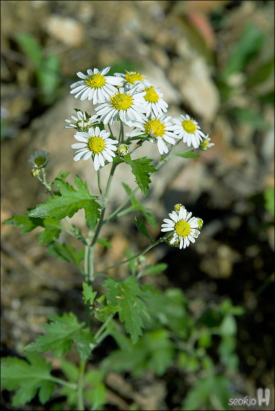 DSCF5814.jpg