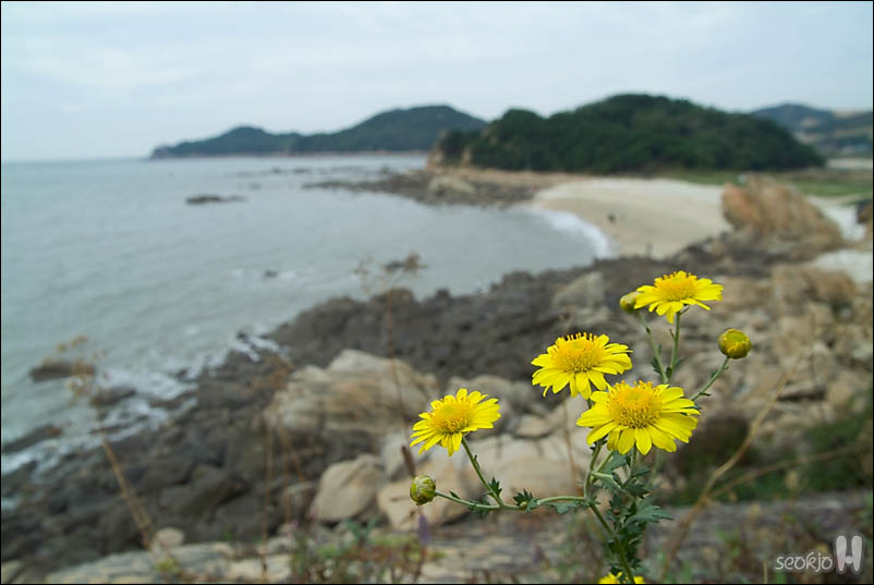 DSCF5993.jpg